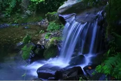 秦岭山旅游景点在哪里(秦岭十大旅游景点)