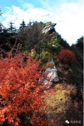 秦岭山旅游景点在哪里(秦岭十大旅游景点)