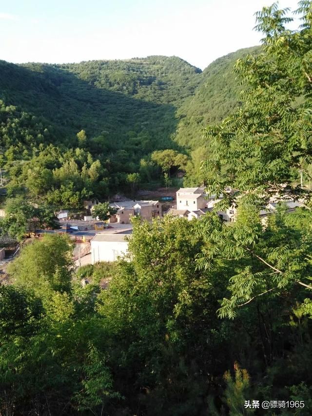 牛心温在哪(牛新文)