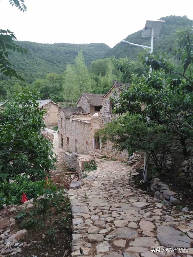 牛心温在哪(牛新文)