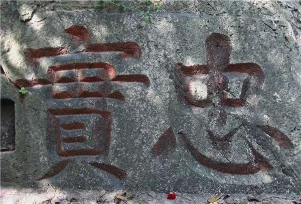 手机刻字在哪(手机壳字体设计)