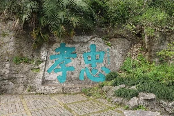 手机刻字在哪(手机壳字体设计)