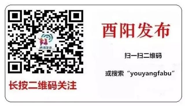 重庆网络问政平台app(重庆网络问政平台是什么)