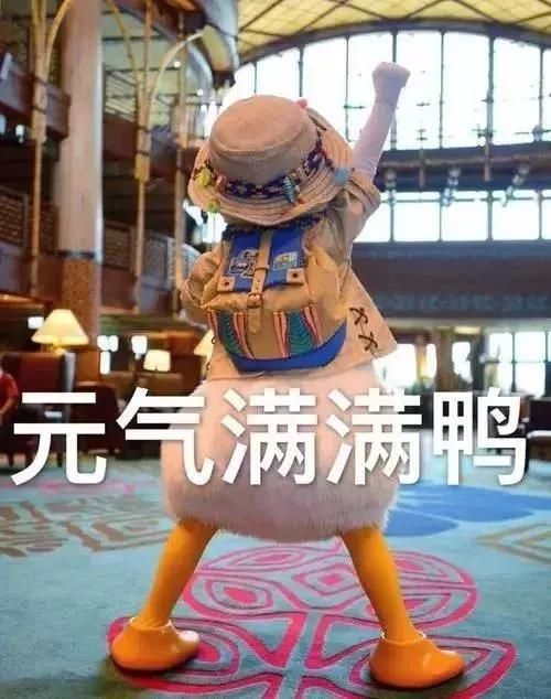 福特致胜空调滤芯在哪里(福特致胜空调不制冷)