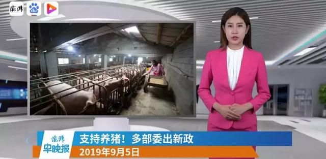 打电话录的音在哪找(为什么微信打电话录不了音)