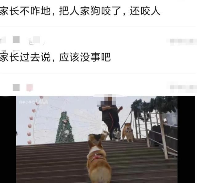 工商局24小时客服电话(扬州工商局客服电话多少)