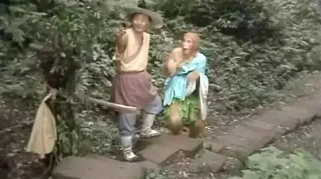 五庄观在哪(五庄观在哪个洲)