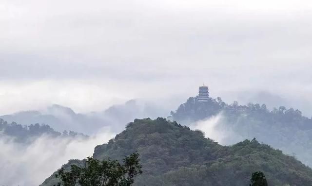 五庄观在哪(五庄观在哪个洲)