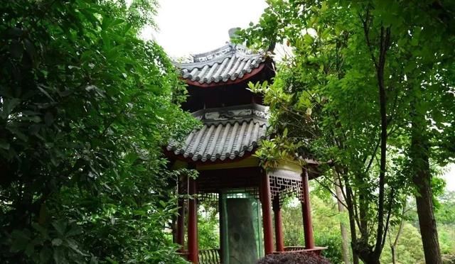 五庄观在哪(五庄观在哪个洲)