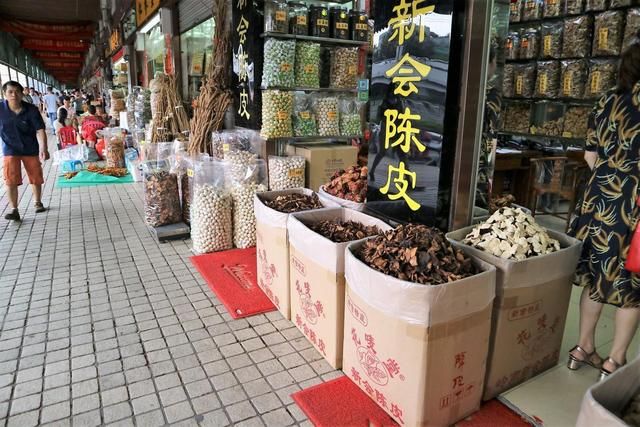 广州中医院在哪里(广州中医院排名)