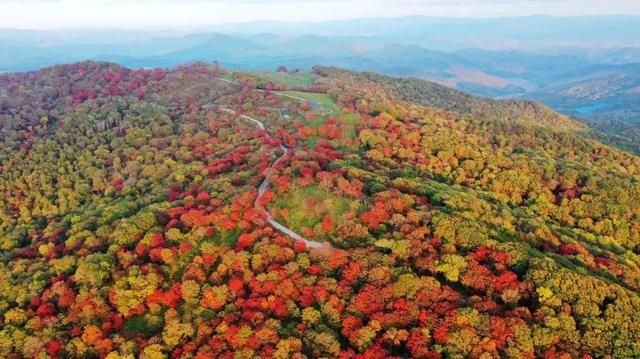 四方山在哪里(四方山在哪)