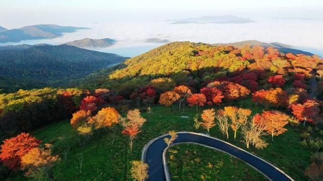 四方山在哪里(四方山在哪)