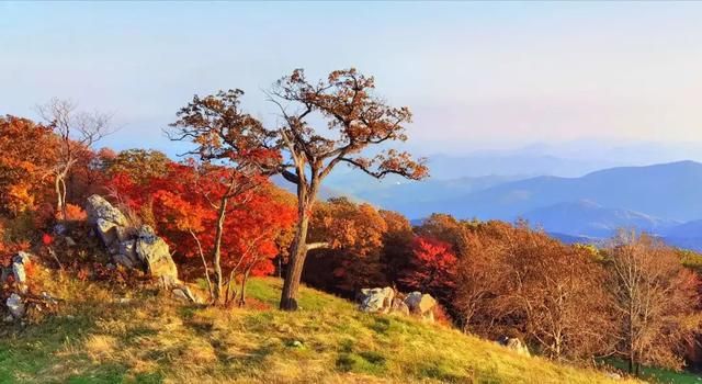 四方山在哪里(四方山在哪)