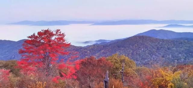 四方山在哪里(四方山在哪)