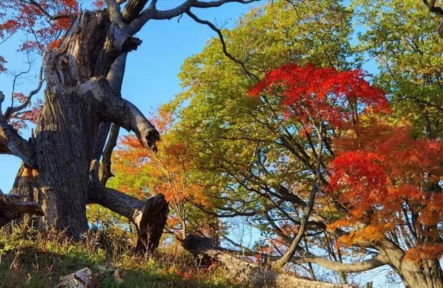四方山在哪里(四方山在哪)