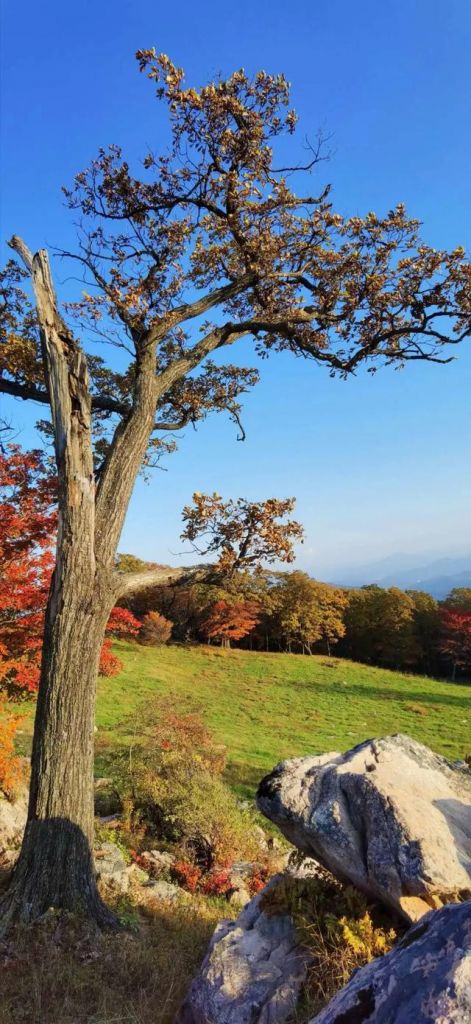 四方山在哪里(四方山在哪)