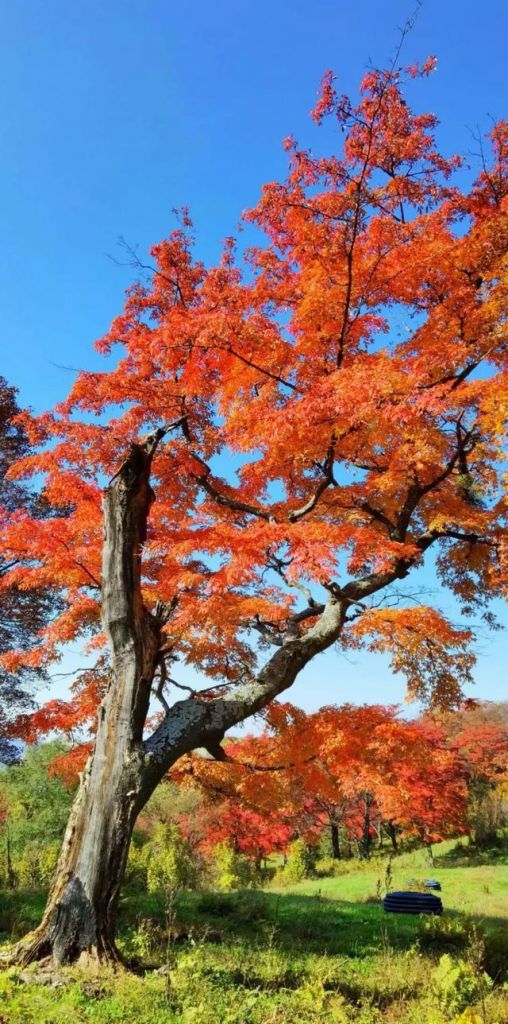 四方山在哪里(四方山在哪)