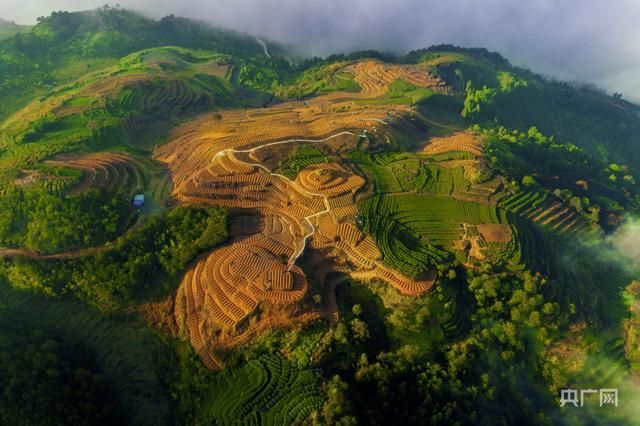 包含福建工商企业信息查询系统官网的词条