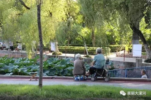 漯河市中心在哪里(漯河市中心医院)