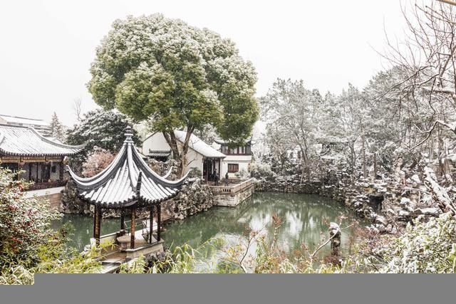 狮子林在哪个区(狮子林在哪里)