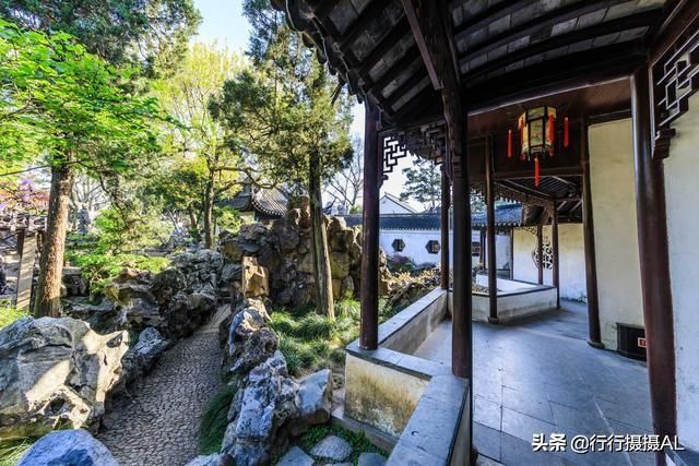 狮子林在哪个区(狮子林在哪里)