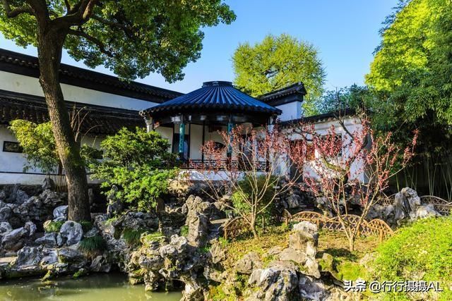 狮子林在哪个区(狮子林在哪里)