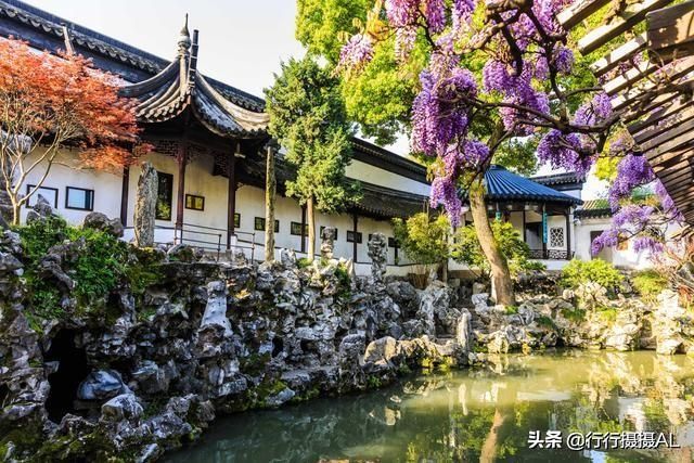 狮子林在哪个区(狮子林在哪里)