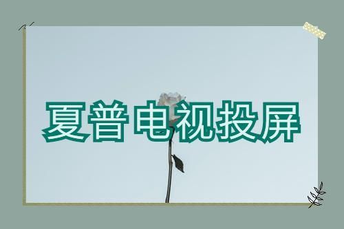 夏普电视的无线投屏在哪里(夏普电视的无线投屏设置哪里打开)