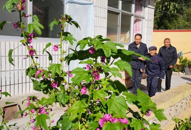 花圈架在哪买的简单介绍