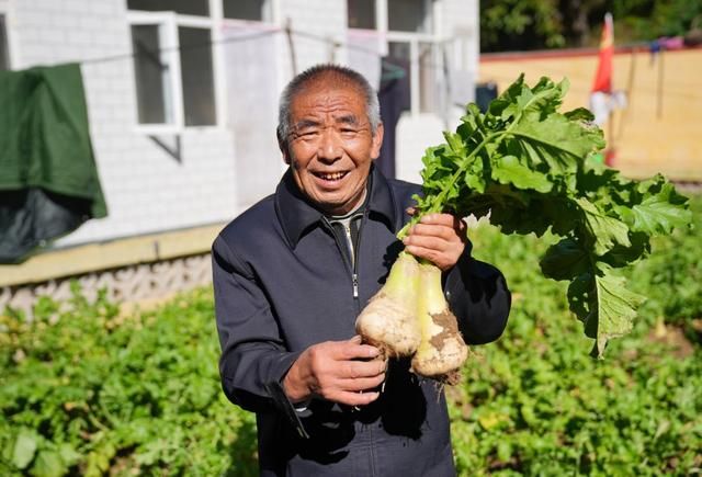 花圈架在哪买的简单介绍