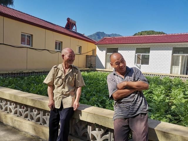 花圈架在哪买的简单介绍