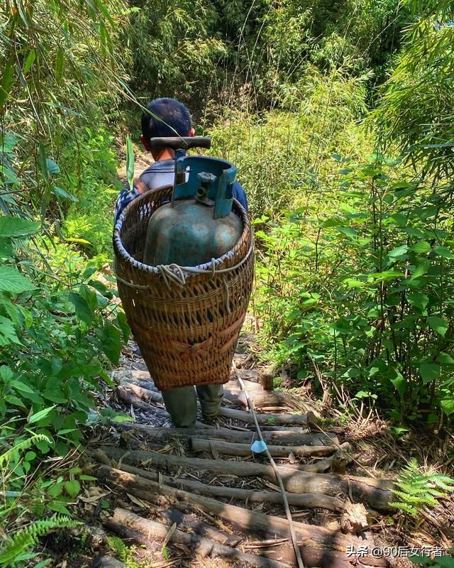 赵道长在哪(北京白云观赵道长)