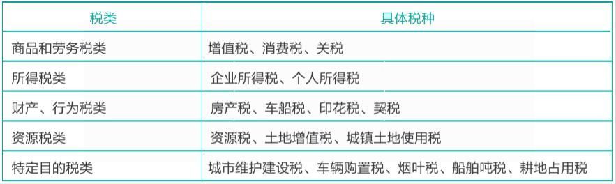 税务报到后要做什么(税务报到后多久报税)