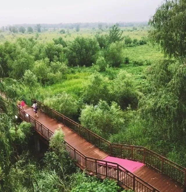 郑州西泰山在哪里(郑州西泰山风景区)