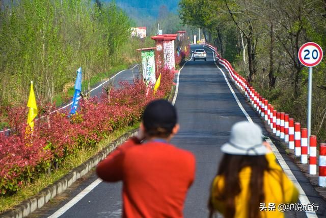 黄陂玫瑰园在哪里(黄陂玫瑰园景区)