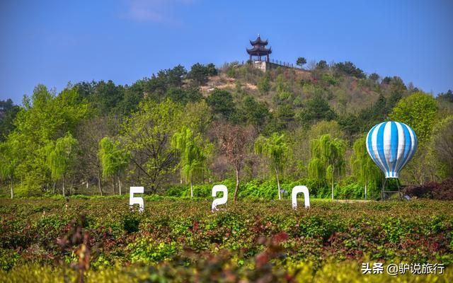 黄陂玫瑰园在哪里(黄陂玫瑰园景区)