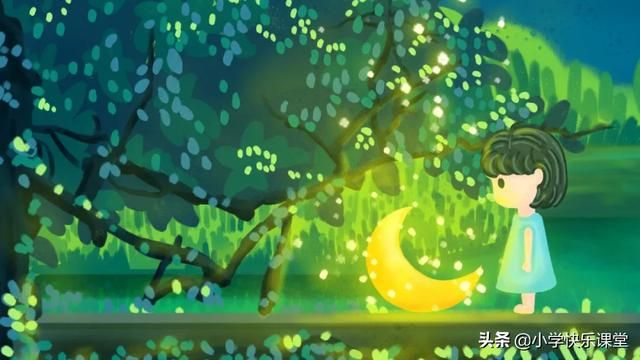 女的小豆豆在哪里(小豆豆的硬币在哪里)