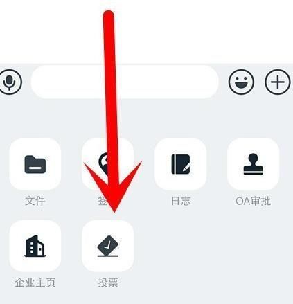 群投票在哪(群投票在哪)
