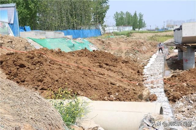 南阳茶叶市场在哪里(南阳新开的茶叶市场在哪里)
