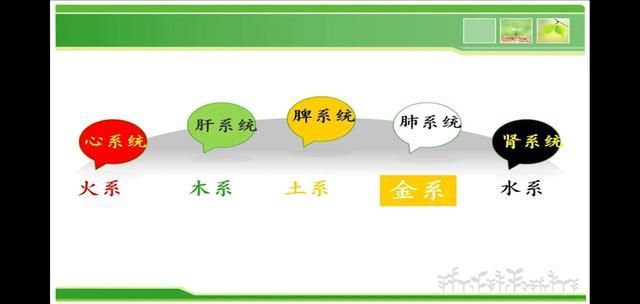 心前区在哪里(心前区在哪里)