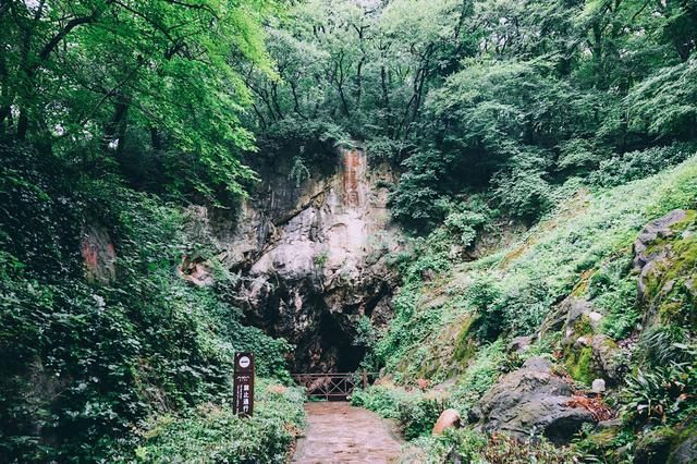 毛山在哪里(茅山在哪里个城市)