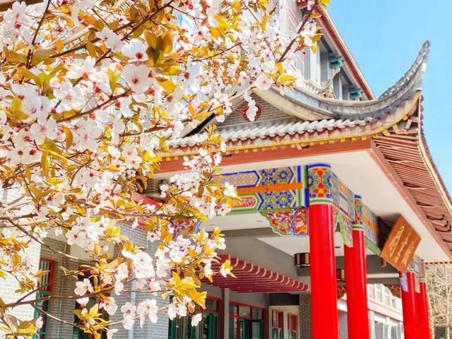 四川大学工商管理硕士招生简章(四川大学工商管理硕士)
