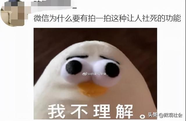 关于拍一拍设定在哪里的信息