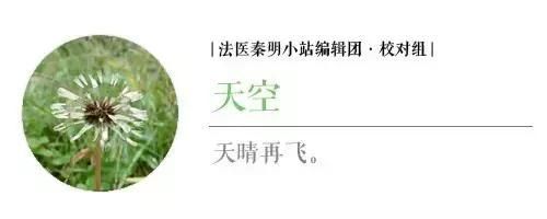 蚂蚁花呗在哪里签约(蚂蚁花呗签约要求)
