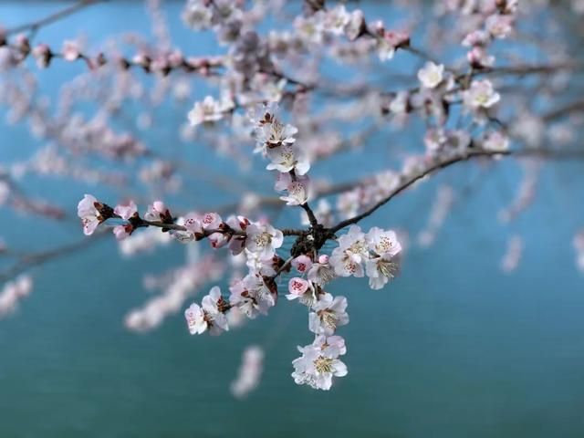 qq炫彩浮屏在哪(炫彩浮屏在哪里)