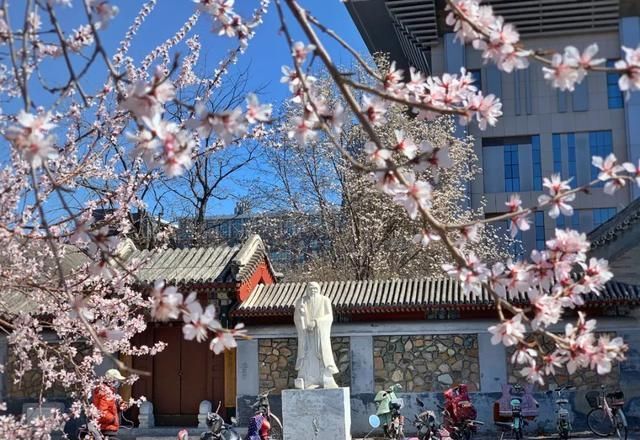 qq炫彩浮屏在哪(炫彩浮屏在哪里)