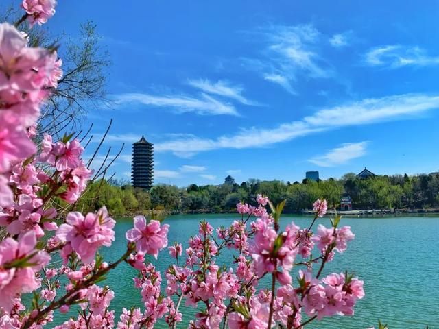 qq炫彩浮屏在哪(炫彩浮屏在哪里)