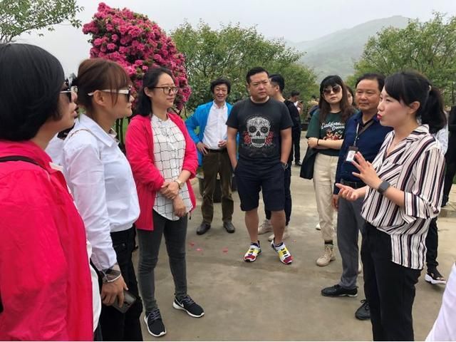 青瓷小镇在哪里(龙泉青瓷小镇特色)