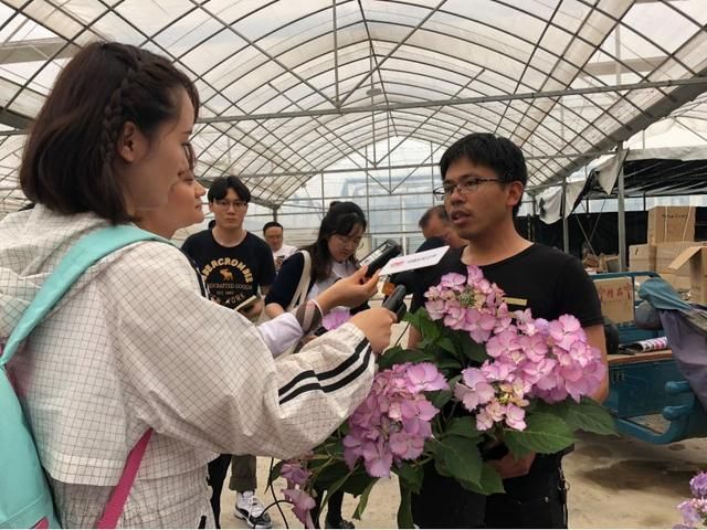 青瓷小镇在哪里(龙泉青瓷小镇特色)