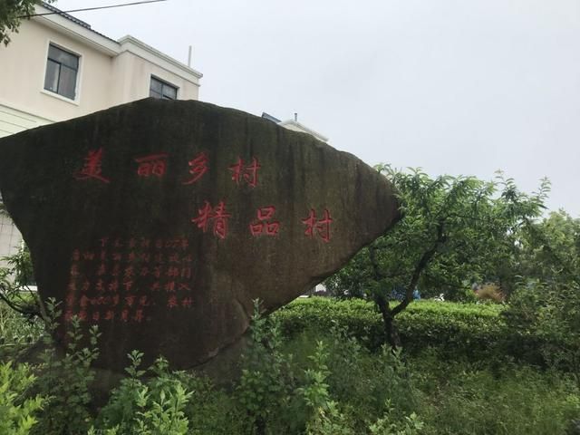 青瓷小镇在哪里(龙泉青瓷小镇特色)